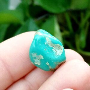 Polished Turquoise Nugget - 0.75" - Jewelry Making
